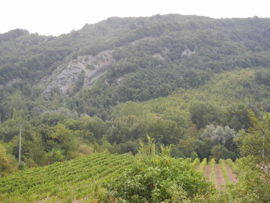 La Colombarola Agriturismo Farneto Exteriér fotografie