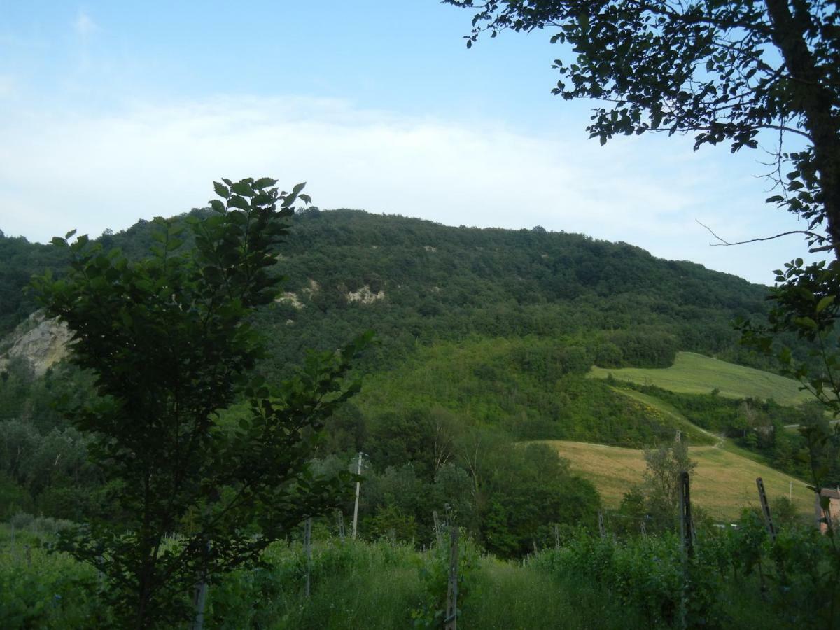 La Colombarola Agriturismo Farneto Exteriér fotografie
